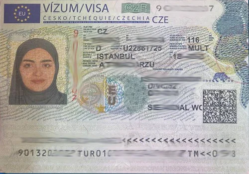 visa