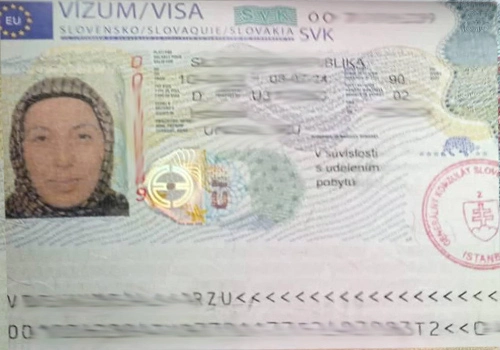 visa
